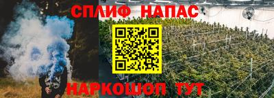 стафф Будённовск
