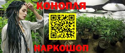 стафф Будённовск