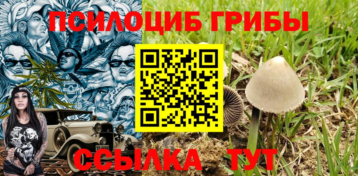 Псилоцибиновые грибы MAGIC MUSHROOMS  Вход с VPN  Темрюк 
